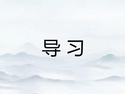 导习