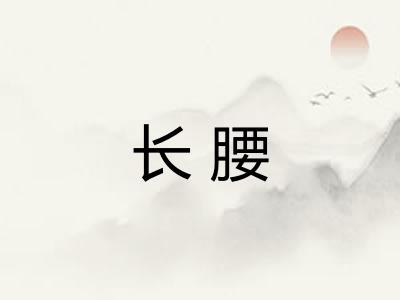 长腰 长腰