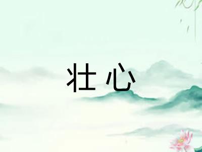 壮心