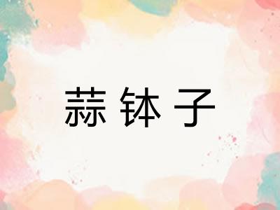 蒜钵子