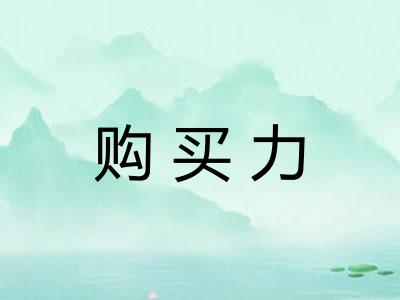购买力