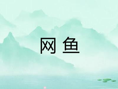 网鱼