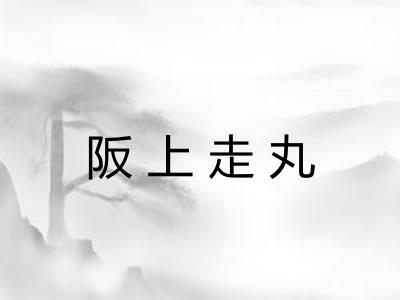 阪上走丸