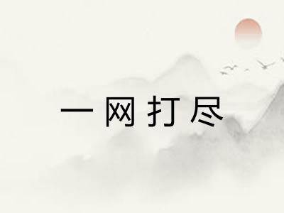 一网打尽