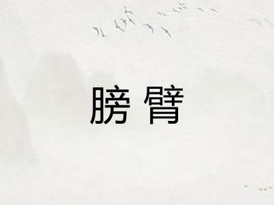 膀臂