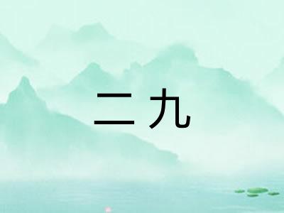 二九