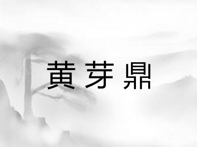 黄芽鼎
