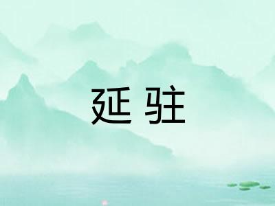 延驻