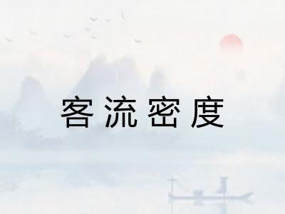 客流密度