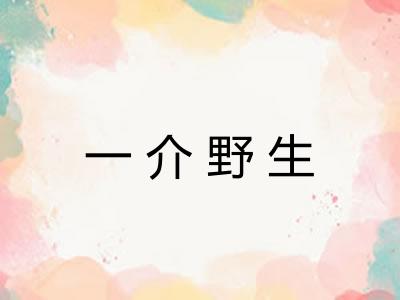 一介野生