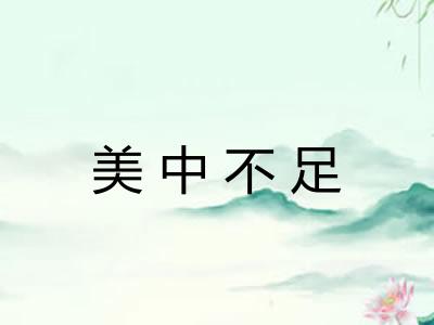 美中不足