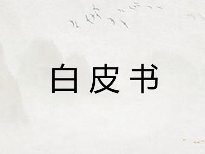 白皮书
