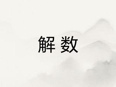 解数