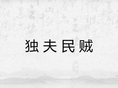 独夫民贼