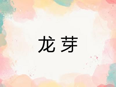 龙芽 龙芽