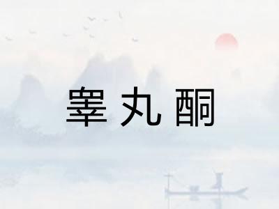 睾丸酮