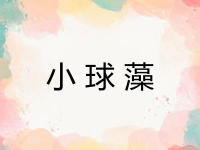 小球藻