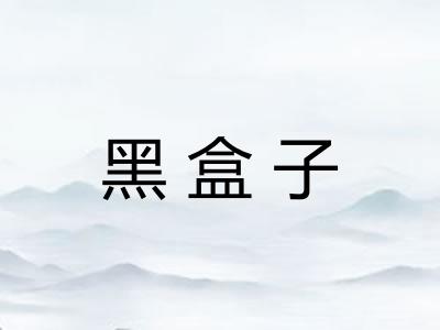 黑盒子 黑盒子