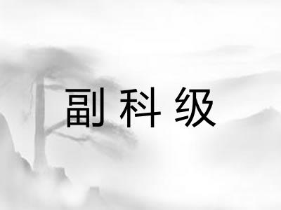 副科级