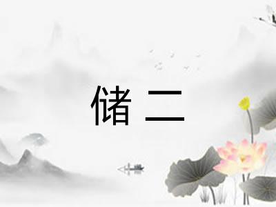 储二