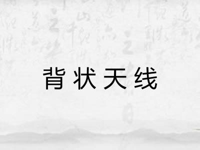 背状天线