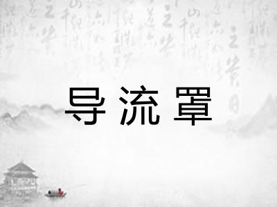 导流罩