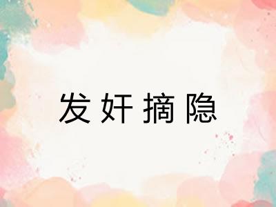 发奸摘隐