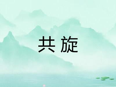 共旋