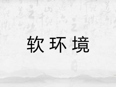 软环境