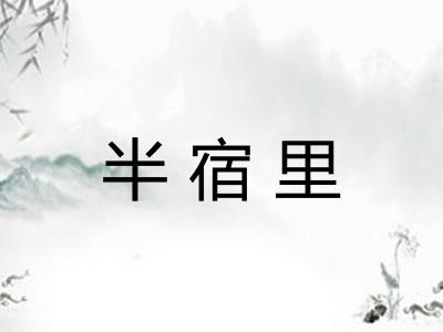 半宿里