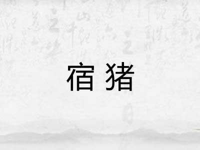 宿猪