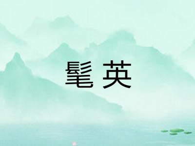 髦英