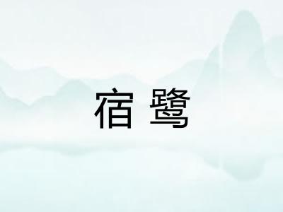 宿鹭