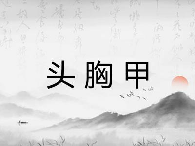 头胸甲