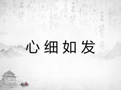 心细如发