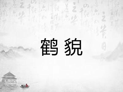 鹤貌