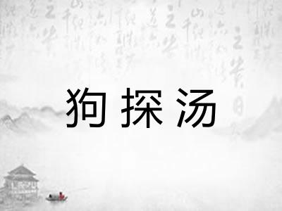狗探汤
