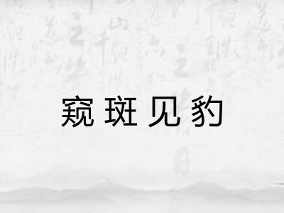 窥斑见豹