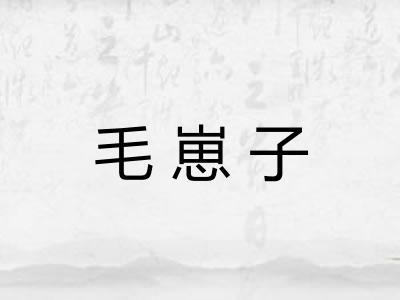 毛崽子
