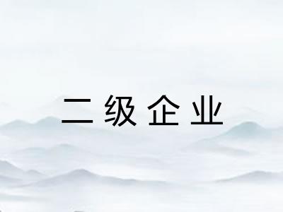 二级企业