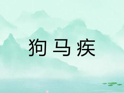 狗马疾