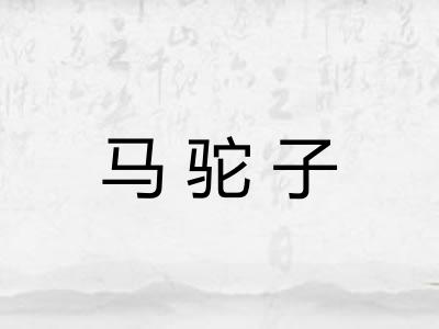 马驼子