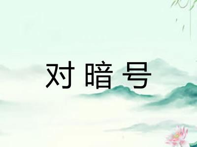 对暗号