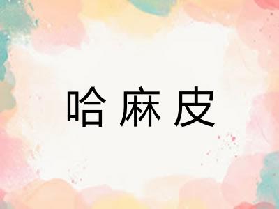 哈麻皮