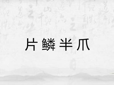 片鳞半爪