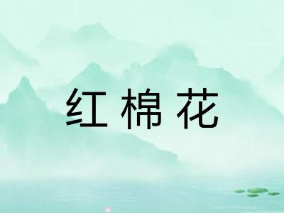 红棉花