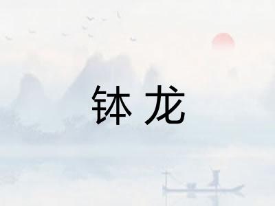 钵龙