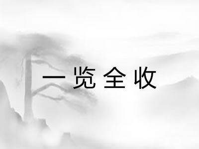 一览全收