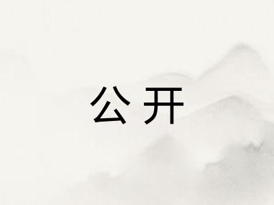公开