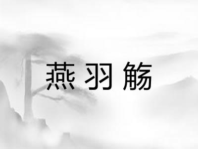 燕羽觞